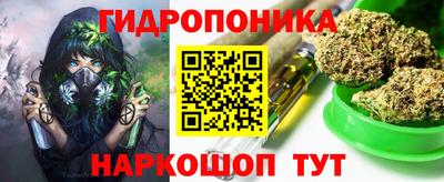 гашик Краснознаменск