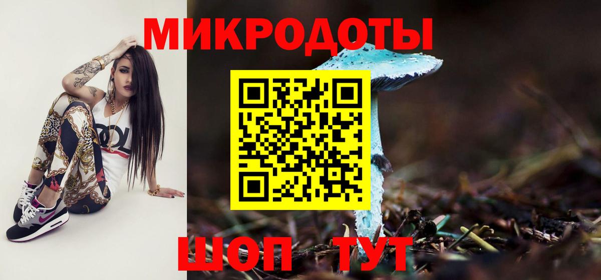 Галлюциногенные грибы MAGIC MUSHROOMS Сланцы